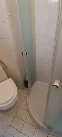 Prodej vícegeneračního domu, Brno, Nováčkova, 380 m2