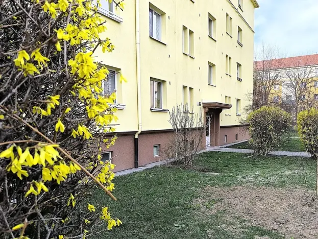 Prodej bytu 1+1, Brno, Klímova, 45 m2