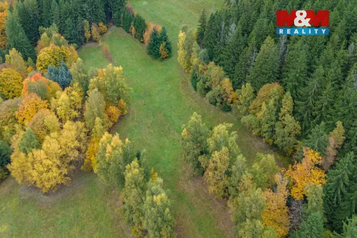 Prodej louky, Tanvald - Šumburk nad Desnou, 1444 m2