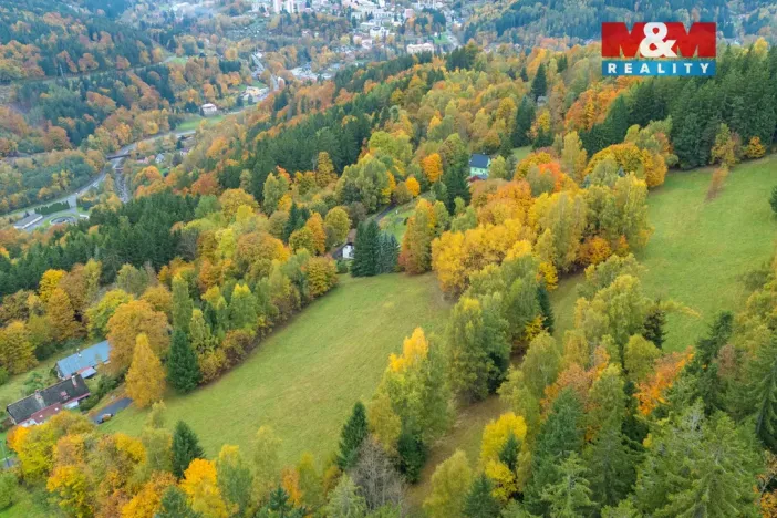 Prodej louky, Tanvald - Šumburk nad Desnou, 1444 m2