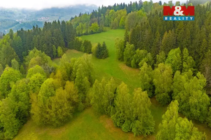 Prodej louky, Tanvald - Šumburk nad Desnou, 1444 m2