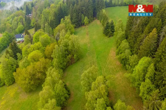 Prodej louky, Tanvald - Šumburk nad Desnou, 1444 m2