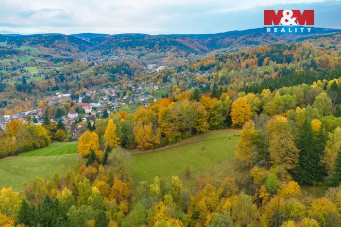 Prodej louky, Tanvald - Šumburk nad Desnou, 1589 m2