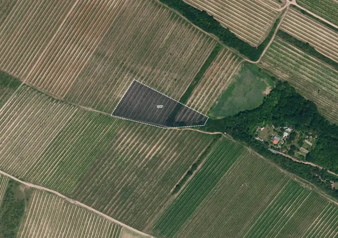 Prodej pole, Nový Šaldorf-Sedlešovice, 12133 m2