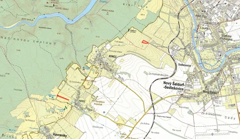 Prodej pole, Nový Šaldorf-Sedlešovice, 12133 m2