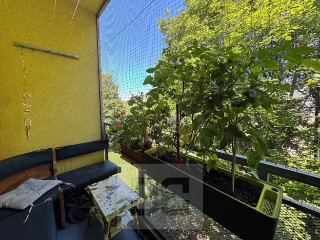 Pronájem bytu 2+1, Brno, 59 m2