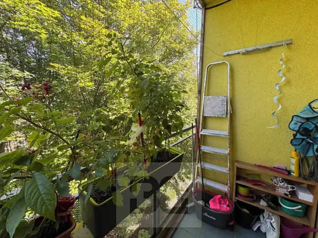 Pronájem bytu 2+1, Brno, 59 m2