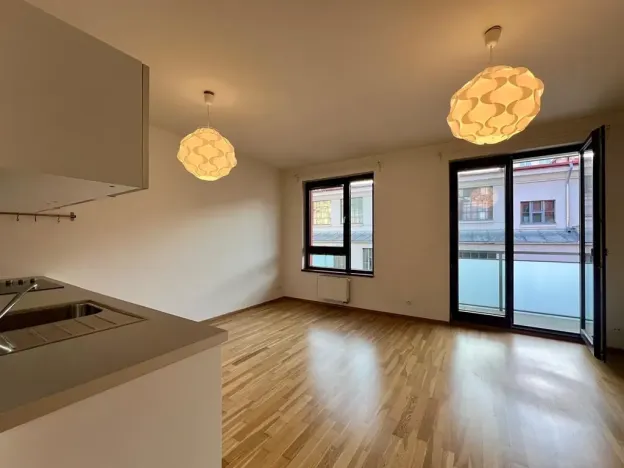 Pronájem bytu 1+kk, Praha - Žižkov, Baranova, 35 m2