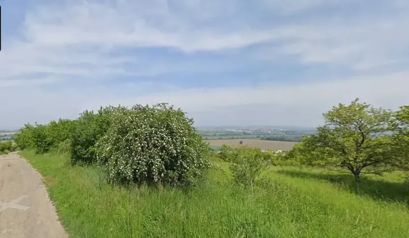 Prodej zahrady, Židlochovice, 4210 m2