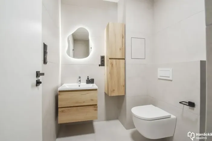 Pronájem bytu 1+kk, Olomouc, Hálkova, 30 m2