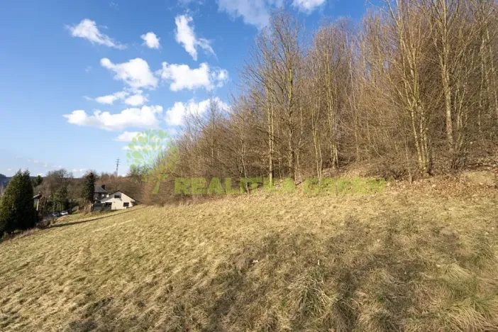 Prodej pozemku pro bydlení, Vsetín, Lázky, 9019 m2