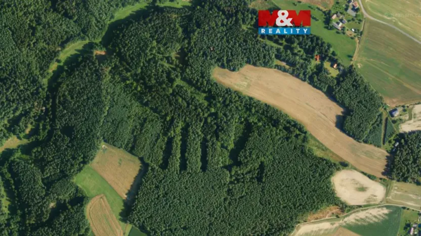 Prodej lesa, Všelibice - Přibyslavice, 23199 m2