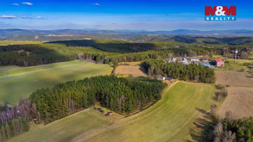 Prodej lesa, Všelibice - Přibyslavice, 23199 m2