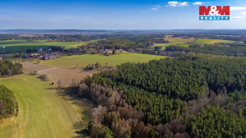 Prodej lesa, Všelibice - Přibyslavice, 23199 m2