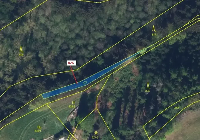 Dražba lesa, Ohnišov, 248 m2