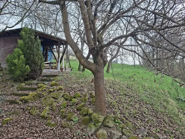 Pronájem vícegeneračního domu, Břestek, 200 m2