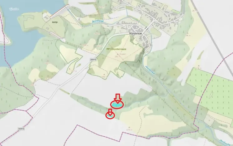 Prodej podílu lesa, Výrovice, 1459 m2