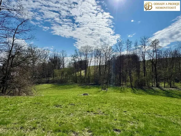 Prodej pozemku pro bydlení, Libina, 8112 m2