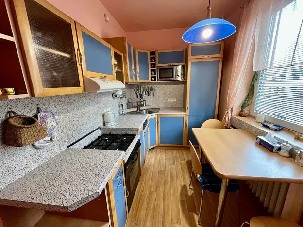 Pronájem bytu 2+1, Brno, Studená, 60 m2