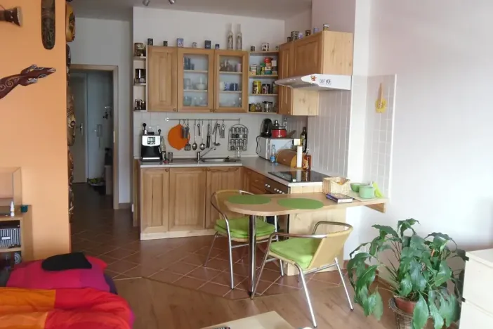 Prodej bytu 1+kk, Brno, Pálavské náměstí, 33 m2