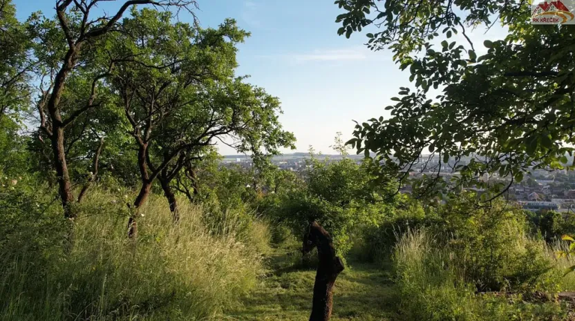 Prodej zahrady, Brno - Židenice, 1227 m2