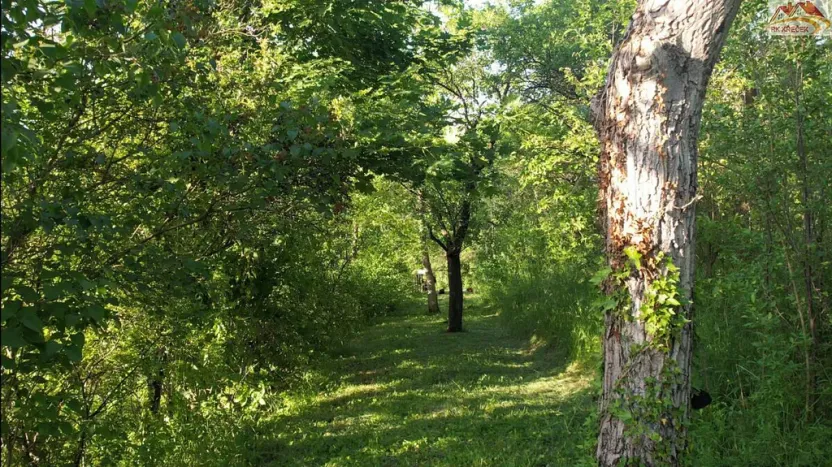 Prodej zahrady, Brno - Židenice, 1227 m2