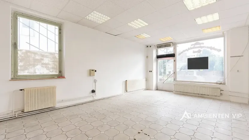 Prodej obchodního prostoru, Újezd u Brna, Nádražní, 901 m2
