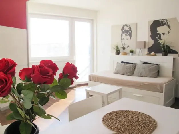 Pronájem bytu 1+kk, Praha - Nusle, Kloboučnická, 33 m2