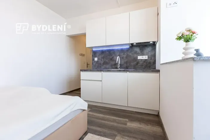 Pronájem bytu 1+kk, Praha - Střížkov, Děčínská, 22 m2