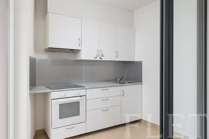 Pronájem bytu 1+kk, Praha - Kamýk, Freiwaldova, 43 m2
