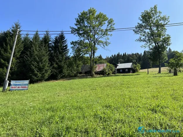 Prodej lesa, Krásná, 21810 m2