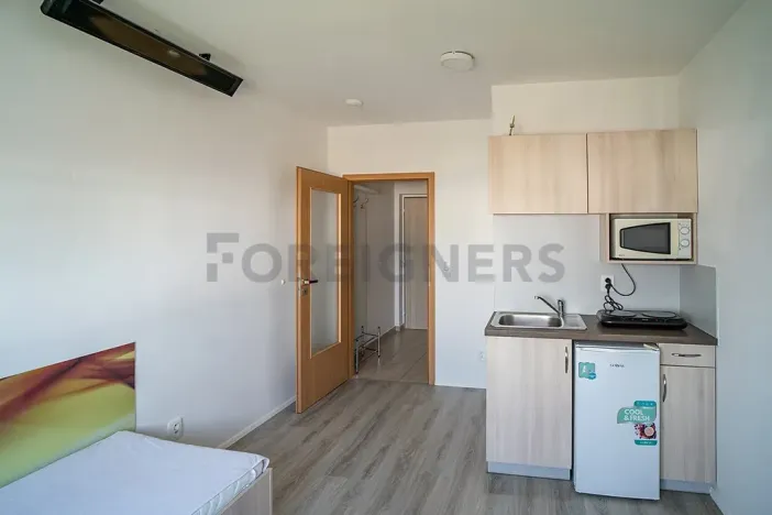 Pronájem bytu 1+kk, Pardubice, K Rozvodně, 22 m2