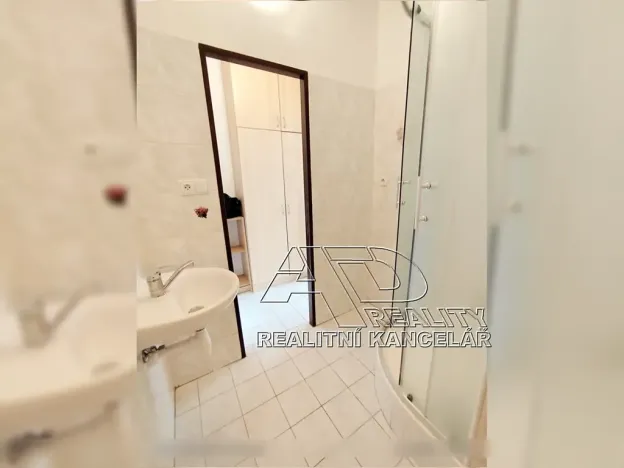 Pronájem bytu 1+kk, České Budějovice, 23 m2