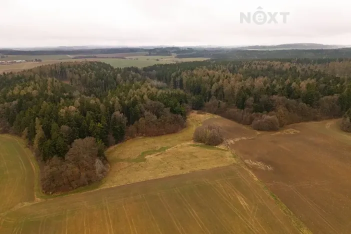 Prodej louky, Niva, 7301 m2