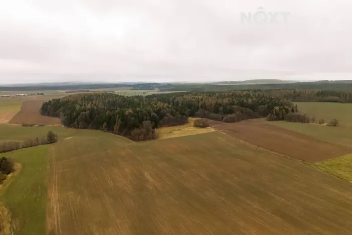 Prodej louky, Niva, 7301 m2