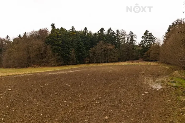 Prodej louky, Niva, 7301 m2