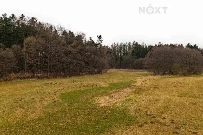 Prodej louky, Niva, 7301 m2