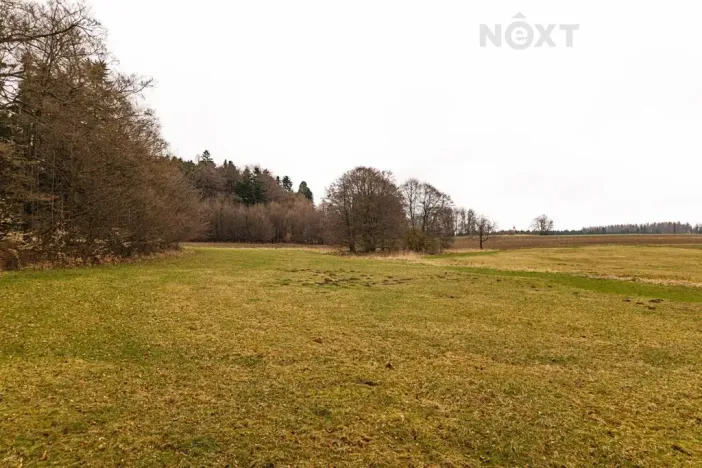 Prodej louky, Niva, 7301 m2