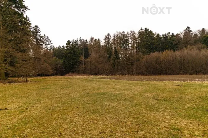 Prodej louky, Niva, 7301 m2