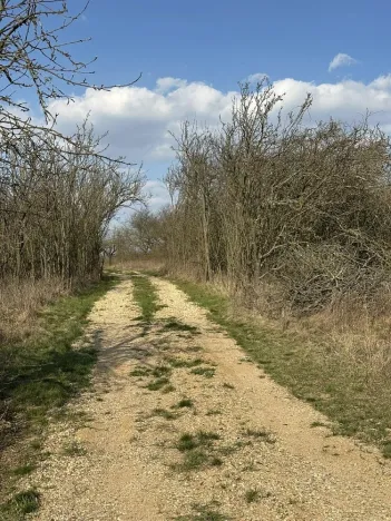 Prodej chaty, Ledce, 47 m2