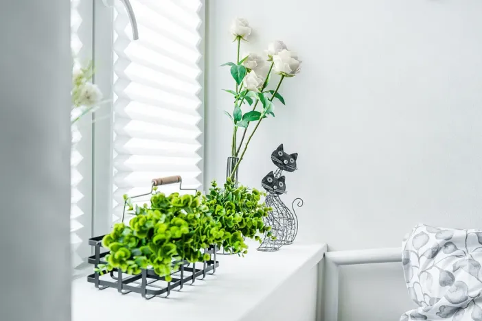 Pronájem bytu 2+kk, Albrechtice nad Orlicí, 1. máje, 32 m2