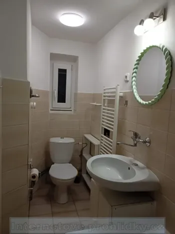 Pronájem bytu 1+1, Praha - Holyně, U vápenice, 43 m2