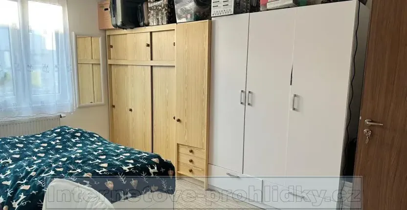 Pronájem pokoje, Praha - Chodov, Babická, 15 m2