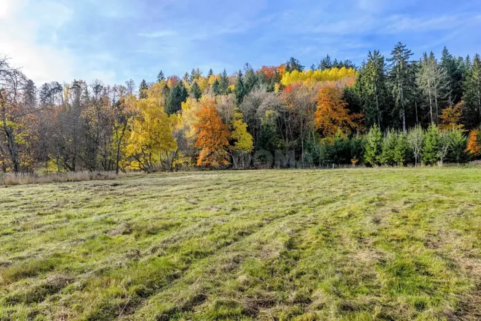 Prodej pozemku pro bydlení, Konstantinovy Lázně, 1931 m2
