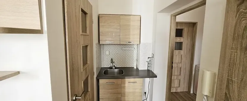 Pronájem bytu 1+kk, Brno, Rotalova, 25 m2