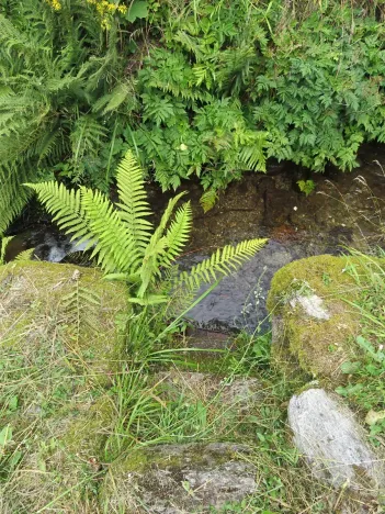 Prodej chalupy, Černý Důl, 194 m2