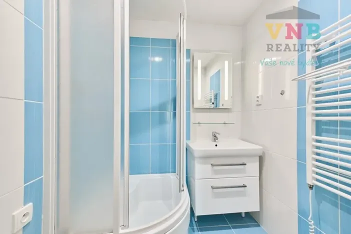 Prodej bytu 3+kk, Praha - Žižkov, Pod lipami, 70 m2