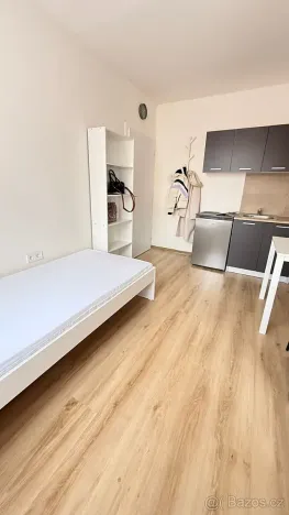 Pronájem bytu 1+kk, Kladno, Hřebečská, 18 m2