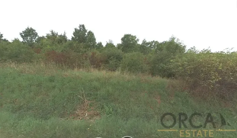 Prodej pole, Chožov, 2558 m2