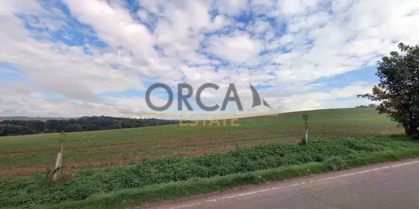 Prodej pole, Herálec, 1977 m2